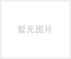 卷网片网 pvc电焊网 圈地种植电焊网