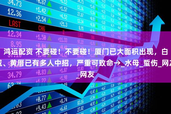 鸿运配资 不要碰！不要碰！厦门已大面积出现，白城、黄厝已有多人中招，严重可致命→_水母_蜇伤_网友