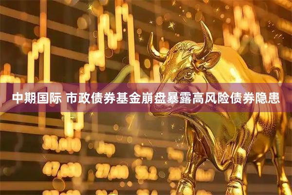 中期国际 市政债券基金崩盘暴露高风险债券隐患