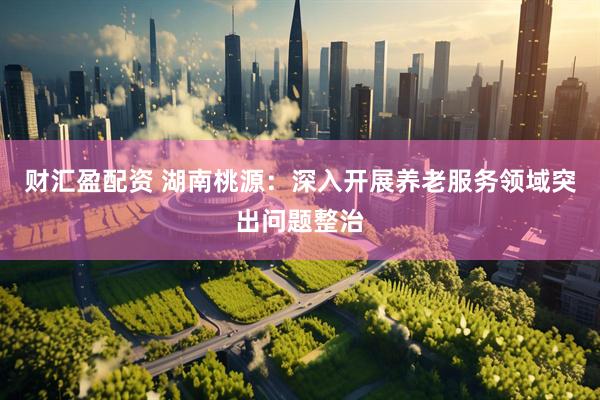 财汇盈配资 湖南桃源：深入开展养老服务领域突出问题整治